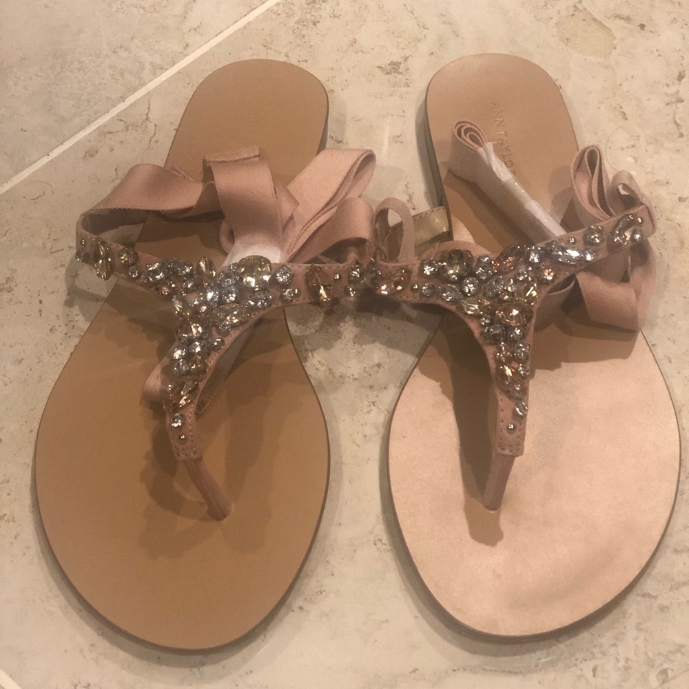 Ann Taylor Sandles